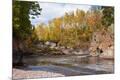 Photographic Print