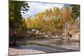 Photographic Print