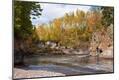 Photographic Print