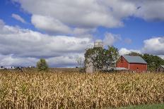 Corn and Dairy Farm-Steven Gaertner-Photographic Print