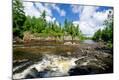 Photographic Print