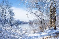 Snow Flocked Trees, Mississippi River-Steven Gaertner-Photographic Print