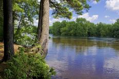 Snow Flocked Trees, Mississippi River-Steven Gaertner-Photographic Print