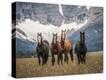 Stretched Canvas Print