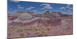 Photographic Print