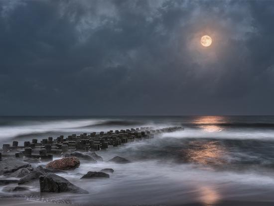 Premium Photographic Print, , large