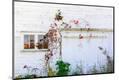 Premium Photographic Print