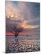 Premium Photographic Print