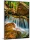 Premium Photographic Print