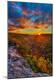 Premium Photographic Print