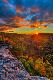 Premium Photographic Print
