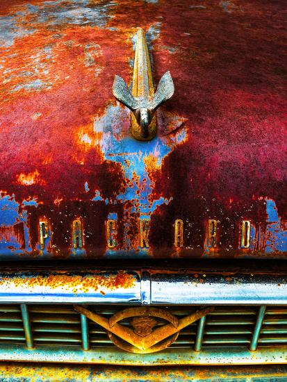 Photographic Print, , large