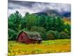 Photographic Print