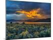 Photographic Print