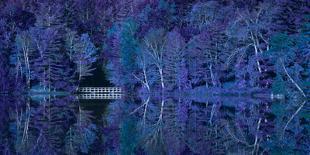 Blue Ridge Beauty-Steven Maxx-Photographic Print
