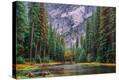 Stretched Canvas Print