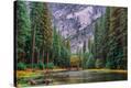 Stretched Canvas Print