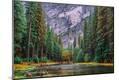 Photographic Print