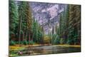 Photographic Print