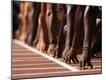 Premium Photographic Print