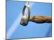 Premium Photographic Print