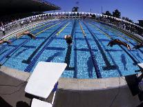 Women Diving into the Pool to Start a Swimming Race-Steven Sutton-Photographic Print