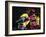 Steven Tyler 001-Rock Demarco-Framed Giclee Print