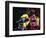 Steven Tyler 001-Rock Demarco-Framed Giclee Print