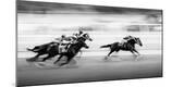 Premium Photographic Print