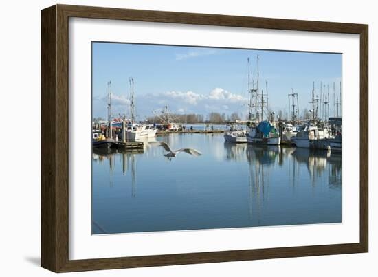 Steveston Scenic II-Dana Styber-Framed Photographic Print