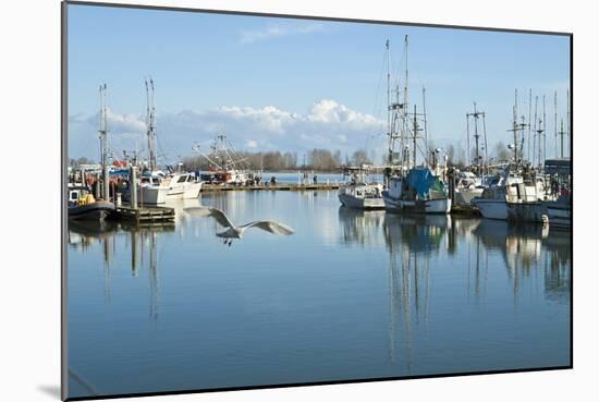 Steveston Scenic II-Dana Styber-Mounted Photographic Print