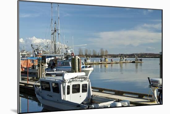 Steveston Scenic III-Dana Styber-Mounted Photographic Print