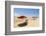 Stewart Beach, Galveston, Texas, United States of America, North America-Kav Dadfar-Framed Photographic Print