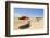 Stewart Beach, Galveston, Texas, United States of America, North America-Kav Dadfar-Framed Photographic Print