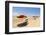 Stewart Beach, Galveston, Texas, United States of America, North America-Kav Dadfar-Framed Photographic Print