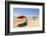 Stewart Beach, Galveston, Texas, United States of America, North America-Kav Dadfar-Framed Photographic Print