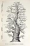 1812 Hippopotamus Skeleton by Cuvier-Stewart Stewart-Photographic Print