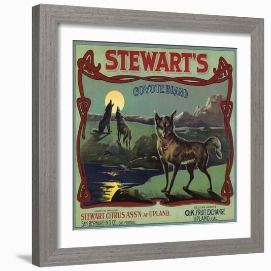 Stewarts Coyote Brand - Upland, California - Citrus Crate Label-Lantern Press-Framed Art Print
