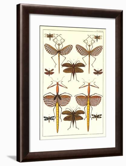 Stick Bugs and Moths-null-Framed Art Print