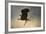 Stick Delivery-Jai Johnson-Framed Giclee Print