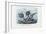 Stickleback, 1863-79-Raimundo Petraroja-Framed Giclee Print