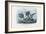 Stickleback, 1863-79-Raimundo Petraroja-Framed Giclee Print