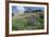 Sticky Aster and Indian Paintbrush, Mt. Timpanogas Wilderness Area-Howie Garber-Framed Photographic Print