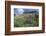 Sticky Aster and Indian Paintbrush, Mt. Timpanogas Wilderness Area-Howie Garber-Framed Photographic Print