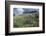 Sticky Aster and Indian Paintbrush, Mt. Timpanogas Wilderness Area-Howie Garber-Framed Photographic Print