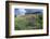 Sticky Aster and Indian Paintbrush, Mt. Timpanogas Wilderness Area-Howie Garber-Framed Photographic Print