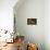 Stil-Life With Feather-Stanislav Aristov-Photographic Print displayed on a wall