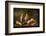 Stil-Life With Feather-Stanislav Aristov-Framed Photographic Print