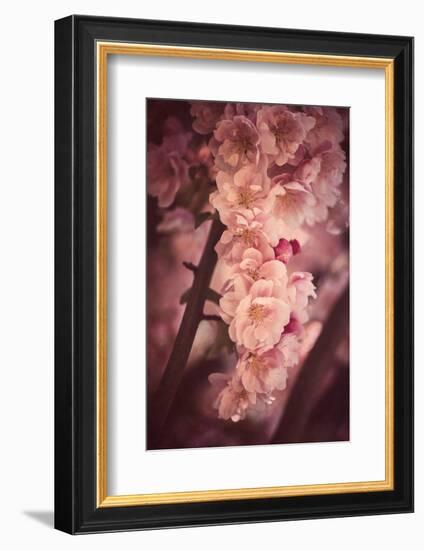 Still in Love-Philippe Sainte-Laudy-Framed Photographic Print