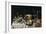 Still Life, 1625-30-Pieter Claesz-Framed Giclee Print